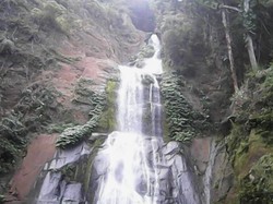 Bukan Cuma Pantai, Alor Juga Punya Air Terjun Cantik