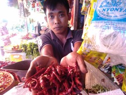 Cabai China Masuk Pasar Trenggalek dan Tulungagung
