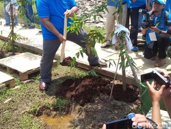 Hutan NARBO di Kawasan Waduk Jatiluhur Kembali Dihijaukan