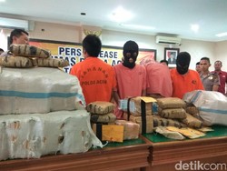 Polda Aceh Tangkap 2 Tersangka, Sita 100 Kg Ganja