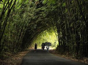 Bukan di Jepang, Ini Desa Panglipuran di Bali