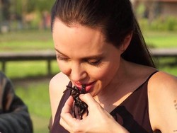 Haruskah Kita Menyantap Serangga seperti Angelina Jolie?
