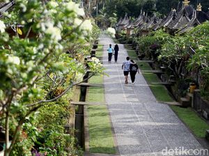 Pesona Desa Terbersih Dunia yang Ada di Pulau Dewata Pesona Desa Terbersih Dunia yang Ada di Pulau Dewata