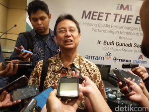 Dirut Inalum Soal Akuisisi Freeport: Ini Transaksi Tersulit