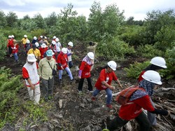 Badan Restorasi Gambut Buka Lowongan Kerja, Cek di Sini