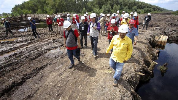 Peserta Field Trip Manajemen Terpadu Lahan Gambut Kunjungi HTI