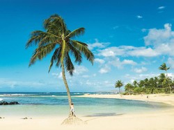 Di Pulau Ini, Bangunan Tidak Boleh Lebih Tinggi dari Pohon Kelapa