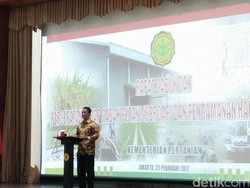 Target Mentan: Serap Gabah Petani Minimal 4 Juta Ton dalam 6 Bulan