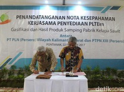 PLN Beli Listrik dari Limbah Sawit PTPN XIII