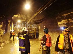 Freeport Buka Segudang Lowongan Kerja, Deretan Jurusan Ini Bisa Lamar!