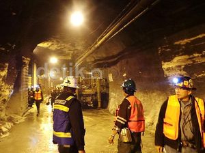 Freeport Buka Segudang Lowongan Kerja, Deretan Jurusan Ini Bisa Lamar! Freeport Buka Segudang Lowongan Kerja, Deretan Jurusan Ini Bisa Lamar!