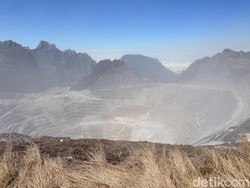 Wabup Mimika: Papua Minta 20% Saham Freeport