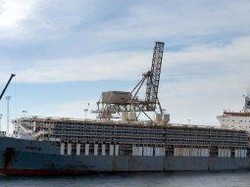 Lompat dari Kapal Ingin Minta Suaka, 3 Pelaut Pakistan Dideportasi