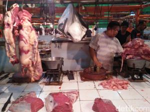 Sudah Dapat Izin, Bulog Diminta Segera Impor Daging Kerbau India