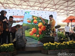 Anak Berkebutuhan Khusus Pamerkan Lukisan di Bandara Juanda