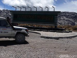 Holding BUMN Siap Caplok Saham Freeport, Ini Kata DPR