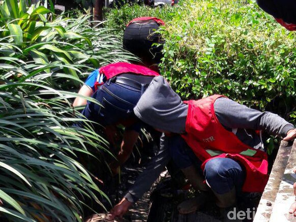 30 Menit, Tim Gorong-gorong Bersihkan Selokan Kotor Dekat Balkot Bandung