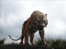 Beda The Jungle Book Dulu dan Kini