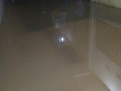 Banjir Landa Cilandak, Sejumlah Warga Putuskan Mengungsi