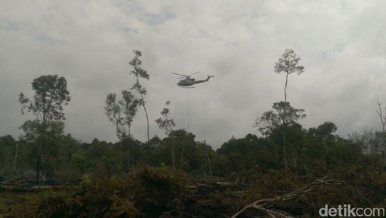 Antisipasi Karhutla Meluas di Jambi Saat Kemarau, BPBD Minta Bantuan 6 Heli