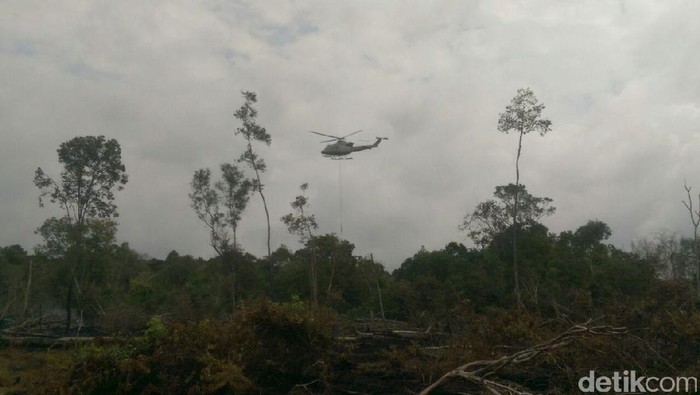Ilustrasi Kebakaran hutan di Riau (Chaidir-detikcom) Ilustrasi Kebakaran hutan di Riau (Chaidir-detikcom) hotspot