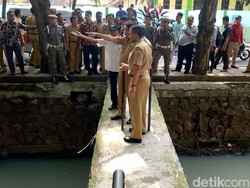 Wagub Djarot Tinjau Kali Berbau Limbah Ayam di Utan Kayu