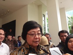Menteri LHK Lapor soal Perhutanan Sosial ke Presiden Jokowi
