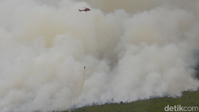 Berita Cegah Kebakaran Hutan, BPBD Sumsel Lakukan Pemetaan Kawasan Jumat 19 April 2024