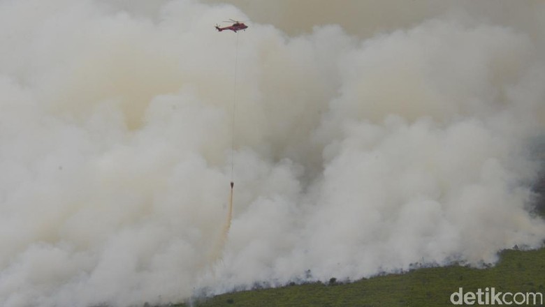 BMKG Temukan 10 Titik Kebakaran Hutan di Aceh BMKG Temukan 10 Titik Kebakaran Hutan di Aceh