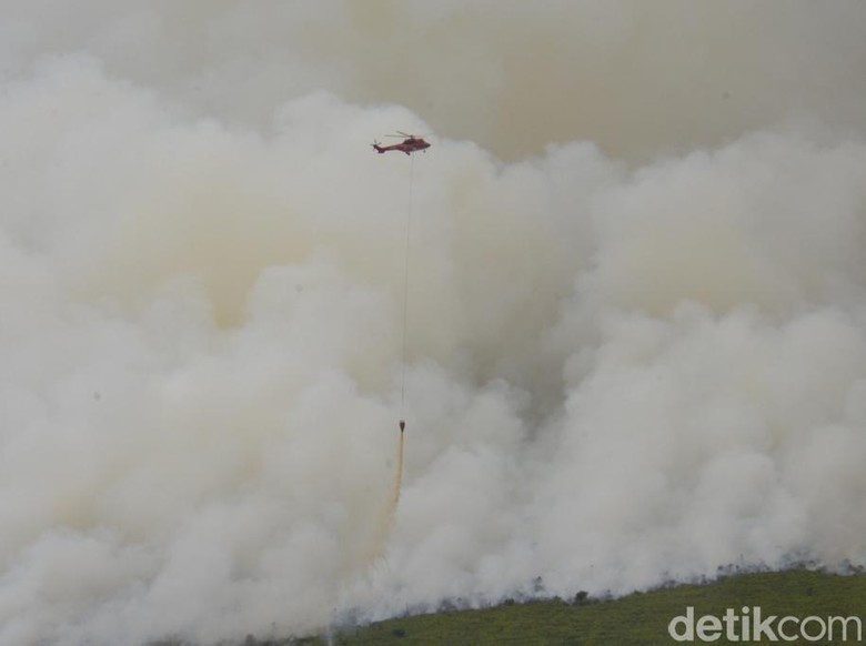 Minta Semua Pihak Cegah Karhutla, Ketua DPRD Jambi: Jangan Terulang Lagi