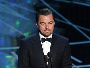Leonardo DiCaprio Dikabarkan Kembali Dekat dengan Model 20 Tahun