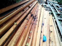 KLHK Desak PN Pekanbaru Eksekusi Rp 16 Triliun Si Perusak Hutan