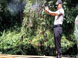 Berperang Melawan Illegal Logging di Cagar Biosfer