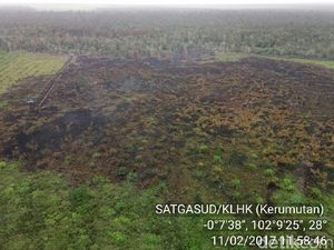 Pengusaha Gugat ke MK, Masyarakat Adat: Upaya Kambing Hitamkan Kami