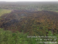 Jejak dan Strategi Keroyokan dalam Kebakaran Lahan Gambut di Riau