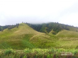 Memang Cantik Bukit Teletubbies di Bromo