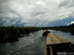 Menyusuri Kanal Menuju Illegal Logging di Cagar Biosfer