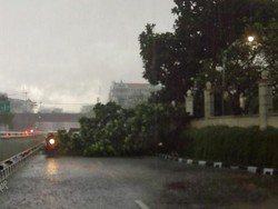 Pohon Tumbang Depan RS Fatmawati, Lalin Sekitar Lokasi Macet
