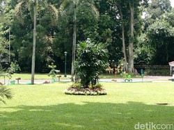 Kunjungan Raja Salman, Patung Telanjang di Istana Bogor Ditutup Pohon