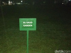 Ini Ulin di Al Saud Garden yang Tak Jadi Ditanam Raja Salman