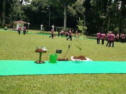 Raja Salman akan Tanam Pohon Ulin, 16 Pangeran Tanam Kenari