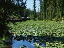 Unik! Danau di AS Ini Mengalir ke Dua Samudera