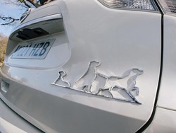 Nissan X-Trail Khusus Pecinta Anjing