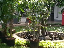 Raja Salman Datang, Patung Telanjang di Istana Ditutup