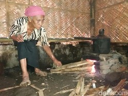 Warga Jember ini Terpaksa Makan Rumput karena Kelaparan