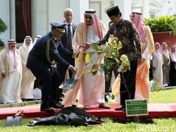Jokowi Jelaskan Makna Pohon Ulin yang Ditanam Raja Salman