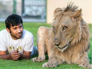 Potret Kemesraan Pria Arab dengan Singa Hingga Macan Tutul