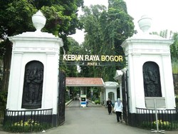 Cari yang Segar-Segar, Yuk Libur Akhir Pekan di Kebun Raya Bogor