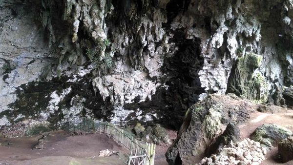 Menelisik Jejak Manusia Purba di Gunungkidul, Ini Tempatnya