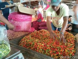 Bandar Cabai Blak-blakan Soal Permainan Harga Rawit Merah